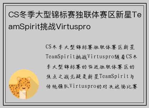 CS冬季大型锦标赛独联体赛区新星TeamSpirit挑战Virtuspro