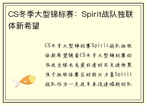 CS冬季大型锦标赛：Spirit战队独联体新希望