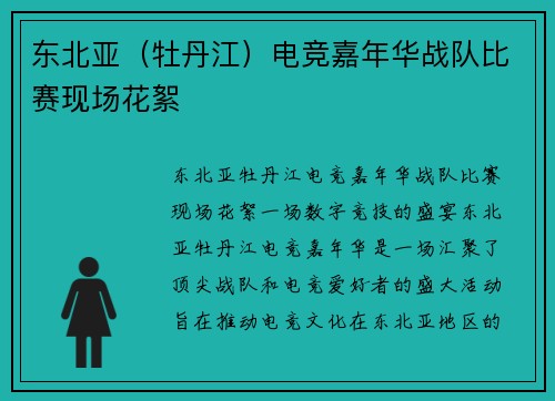 东北亚（牡丹江）电竞嘉年华战队比赛现场花絮